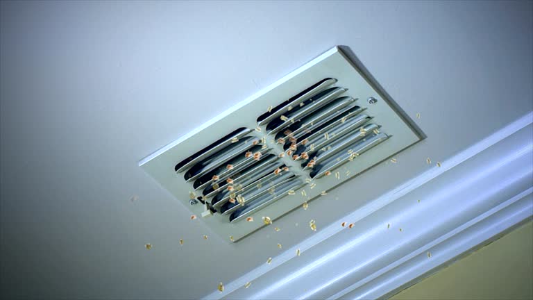 Best Air Duct Sanitizing Services  in Huntington, WV