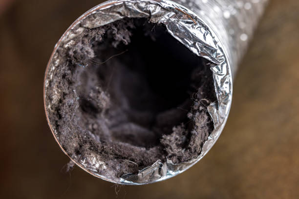 Best HVAC Duct Inspection Services  in Huntington, WV